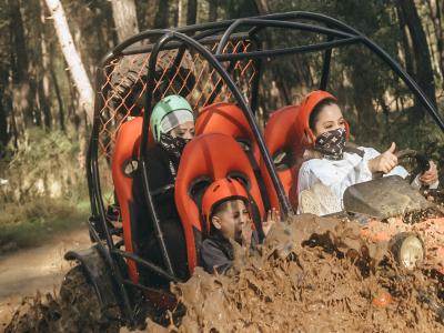 Family Buggy Safari