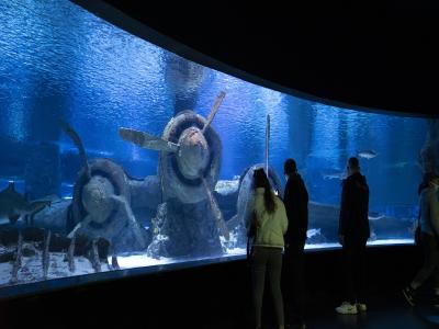 Antalya Aquarium