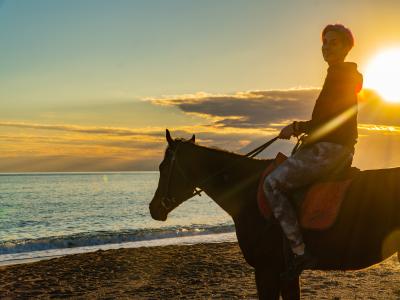 Horse Safari