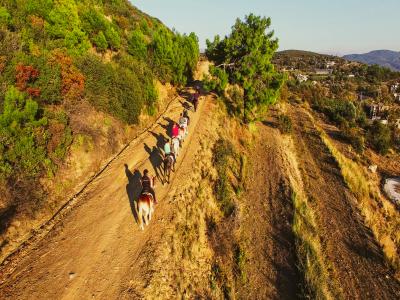 Alanya Horse Safari