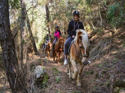 Alanya Horse Safari