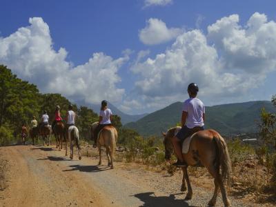 Alanya Horse Safari