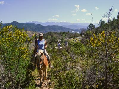 Alanya Horse Safari