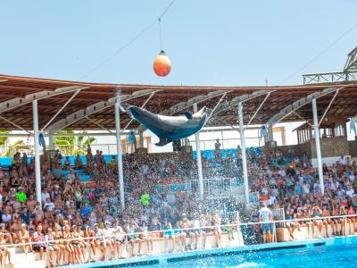 Sea Alanya Dolphin Show