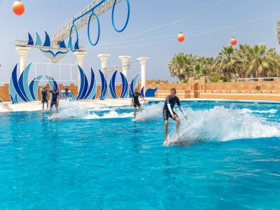 Sea Alanya Dolphin Show