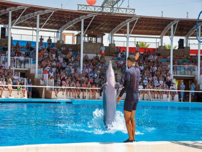 Sea Alanya Dolphin Show