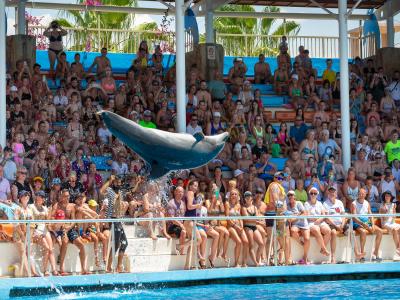 Sea Alanya Dolphin Show