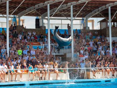 Sea Alanya Dolphin Show