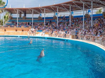 Sea Alanya Dolphin Show