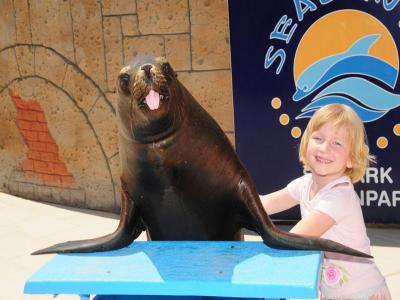 Sea Alanya Dolphin Show