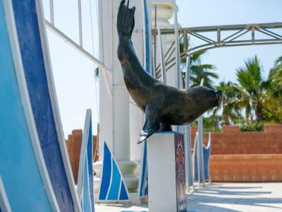 Sea Alanya Dolphin Show