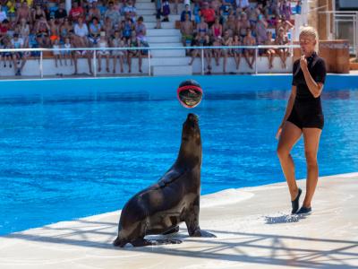 Sea Alanya Dolphin Show