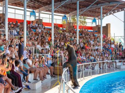 Sea Alanya Dolphin Show