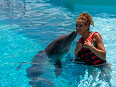 Sea Alanya Dolphin Show