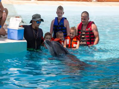 Sea Alanya Dolphin Show