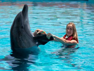 Sea Alanya Dolphin Show