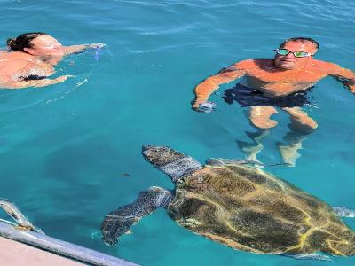 Snorkel Tour With Sea Turtle