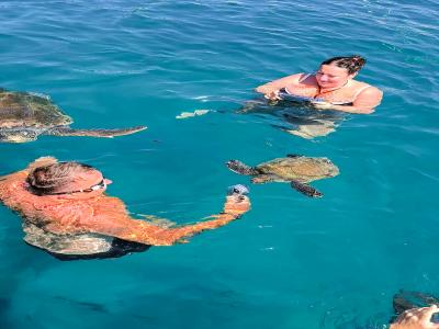 Snorkel Tour With Sea Turtle