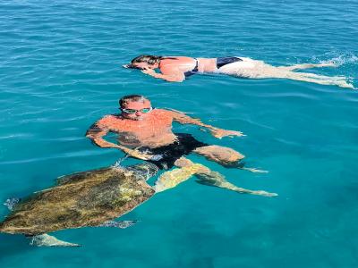 Snorkel Tour With Sea Turtle