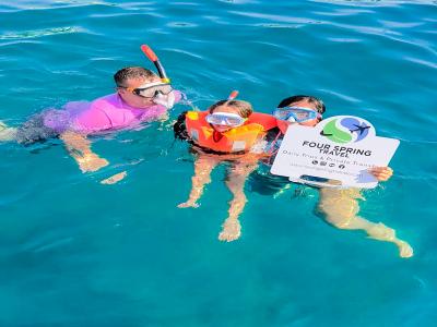 Snorkel Tour With Sea Turtle