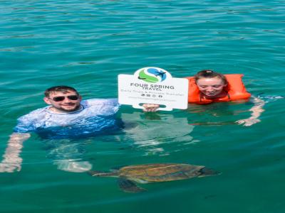 Snorkel Tour With Sea Turtle