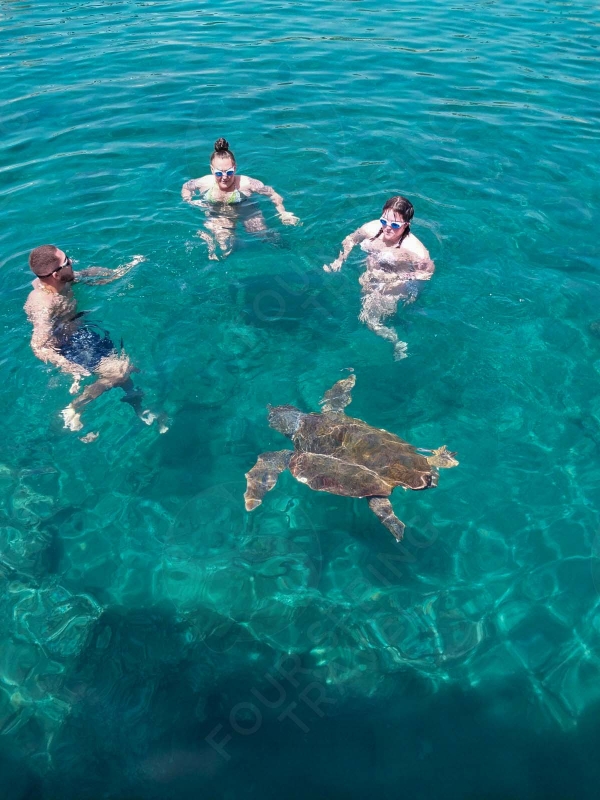 Snorkel Tour With Sea Turtle