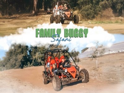 Family Buggy Safari