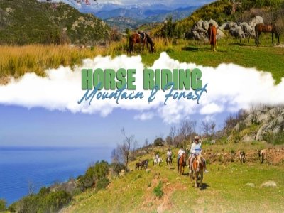 Alanya Horse Safari