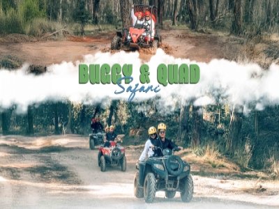 Buggy / Quad Safari