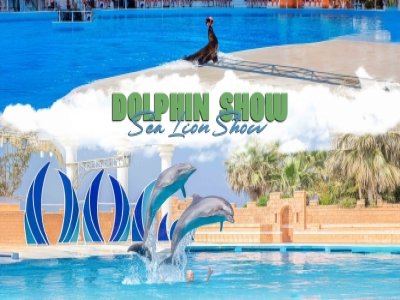 Dolphin and Sea Lion Show