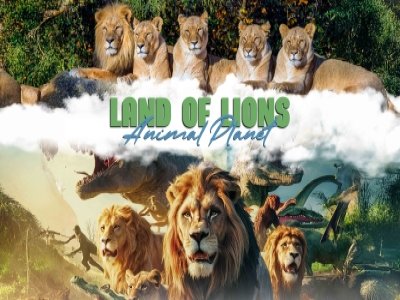 Land of Lions