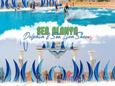 Sea Alanya Dolphin Show